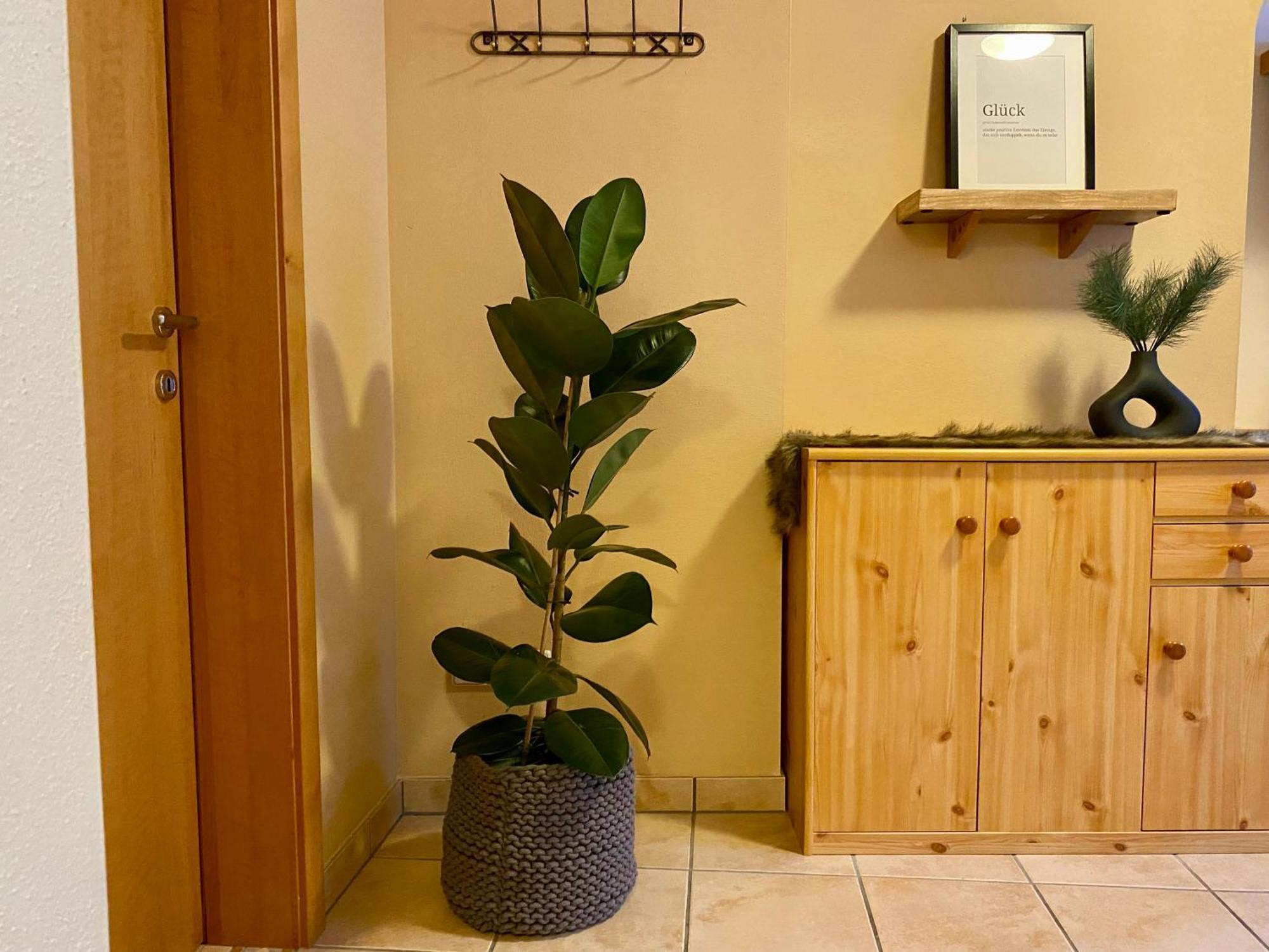 Appartement Auwald Forstau  Εξωτερικό φωτογραφία